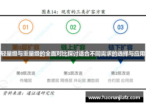 轻量级与重量级的全面对比探讨适合不同需求的选择与应用